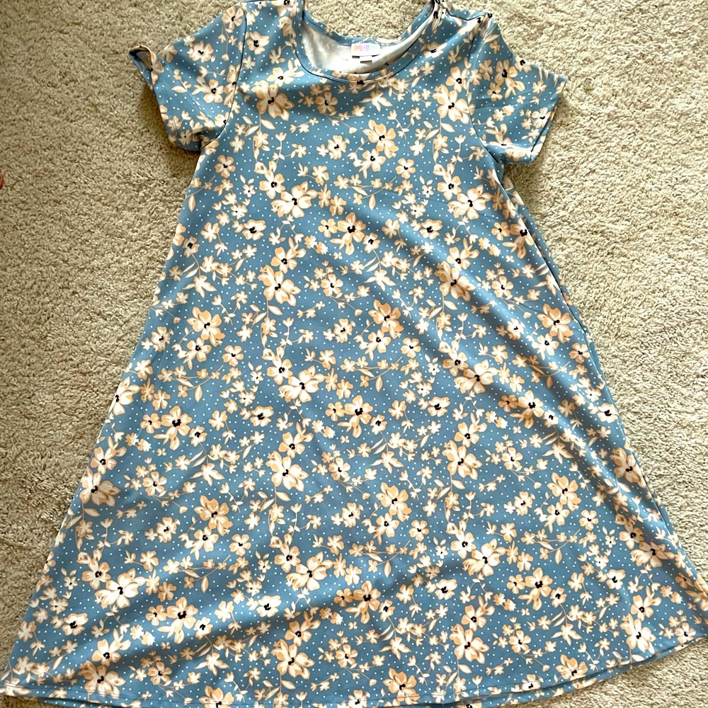 Lularoe XS Jessie